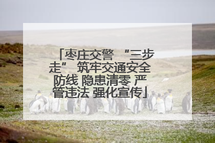 枣庄交警 “三步走” 筑牢交通安全防线 隐患清零 严管违法 强化宣传