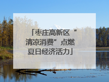 枣庄高新区“清凉消费”点燃夏日经济活力