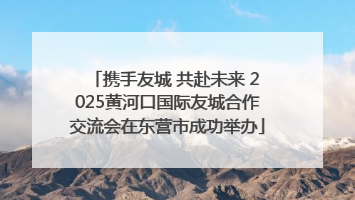 携手友城 共赴未来 2025黄河口国际友城合作交流会在东营市成功举办