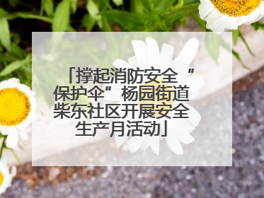 撑起消防安全“保护伞”杨园街道柴东社区开展安全生产月活动
