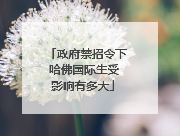 政府禁招令下 哈佛国际生受影响有多大