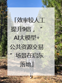 效率较人工提升9倍，“AI大模型+公共资源交易”场景在启东落地