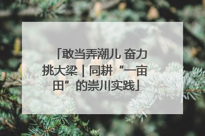 敢当弄潮儿 奋力挑大梁｜同耕“一亩田”的崇川实践