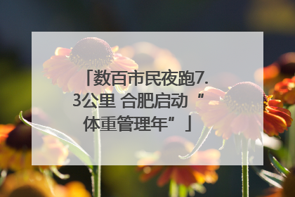 数百市民夜跑7.3公里 合肥启动“体重管理年”