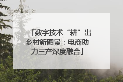 数字技术“耕”出乡村新图景：电商助力三产深度融合