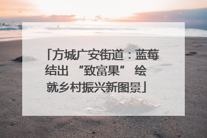 方城广安街道：蓝莓结出 “致富果” 绘就乡村振兴新图景