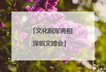 文化皖军亮相深圳文博会