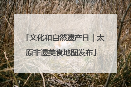 文化和自然遗产日｜太原非遗美食地图发布