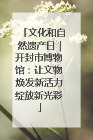 文化和自然遗产日｜开封市博物馆：让文物焕发新活力绽放新光彩