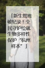 新生鸳鸯破纪录！全民守护绘就生物多样性保护“杭州样本”