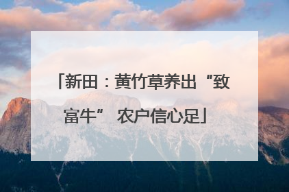 新田：黄竹草养出“致富牛” 农户信心足