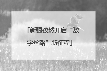 新疆孜然开启“数字丝路”新征程