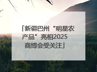 新疆巴州“明星农产品”亮相2025商博会受关注