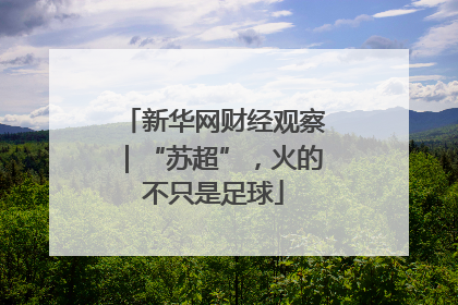 新华网财经观察｜“苏超”，火的不只是足球