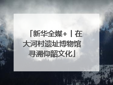 新华全媒+丨在大河村遗址博物馆寻溯仰韶文化