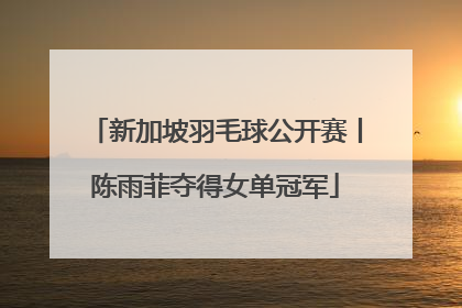 新加坡羽毛球公开赛丨陈雨菲夺得女单冠军