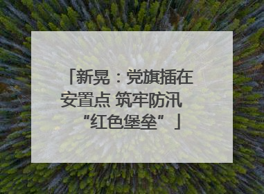 新晃：党旗插在安置点 筑牢防汛“红色堡垒”