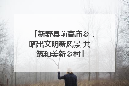 新野县前高庙乡：晒出文明新风景 共筑和美新乡村