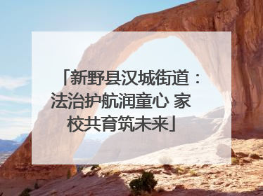 新野县汉城街道：法治护航润童心 家校共育筑未来