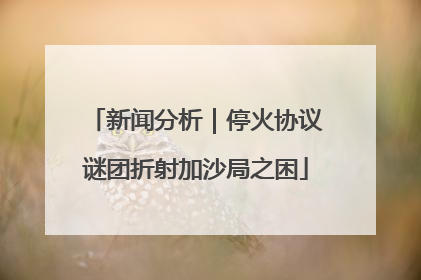 新闻分析｜停火协议谜团折射加沙局之困