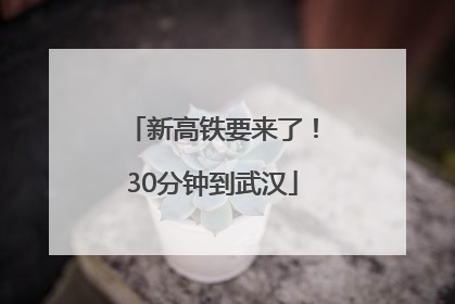 新高铁要来了！30分钟到武汉