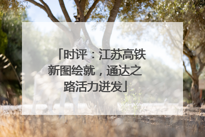 时评：江苏高铁新图绘就，通达之路活力迸发
