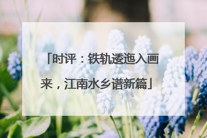 时评：铁轨逶迤入画来，江南水乡谱新篇