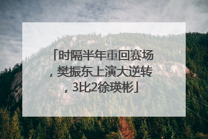 时隔半年重回赛场，樊振东上演大逆转，3比2徐瑛彬