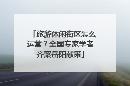 旅游休闲街区怎么运营？全国专家学者齐聚岳阳献策