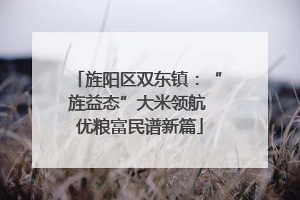旌阳区双东镇：“旌益态”大米领航 优粮富民谱新篇