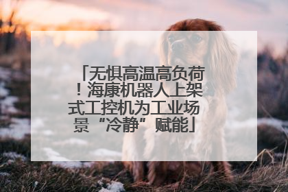 无惧高温高负荷！海康机器人上架式工控机为工业场景“冷静”赋能