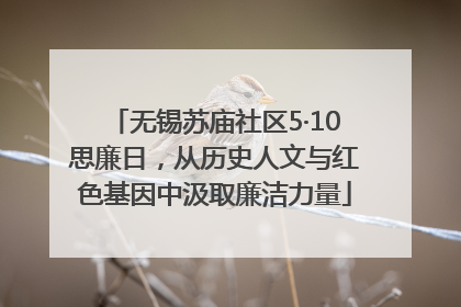 无锡苏庙社区5·10思廉日，从历史人文与红色基因中汲取廉洁力量