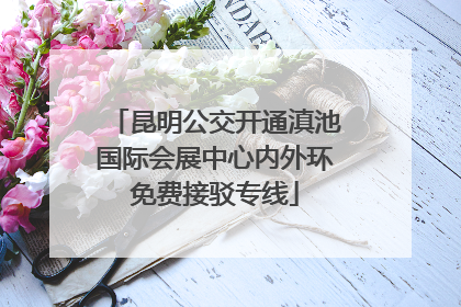 昆明公交开通滇池国际会展中心内外环免费接驳专线