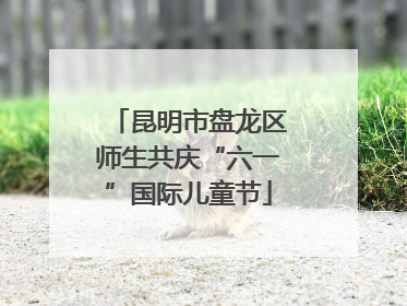 昆明市盘龙区师生共庆“六一”国际儿童节