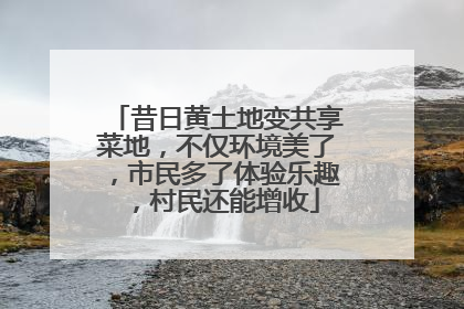 昔日黄土地变共享菜地，不仅环境美了，市民多了体验乐趣，村民还能增收