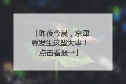 昨夜今晨，京津冀发生这些大事！点击看报→