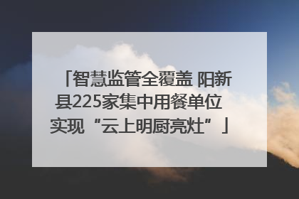 智慧监管全覆盖 阳新县225家集中用餐单位实现“云上明厨亮灶”