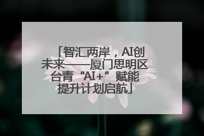 智汇两岸，AI创未来——厦门思明区台青“AI+”赋能提升计划启航