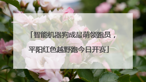 智能机器狗成最萌领跑员，平阳红色越野跑今日开赛