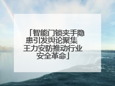 智能门锁夹手隐患引发舆论聚集 王力安防推动行业安全革命