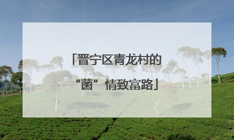 晋宁区青龙村的“菌”情致富路