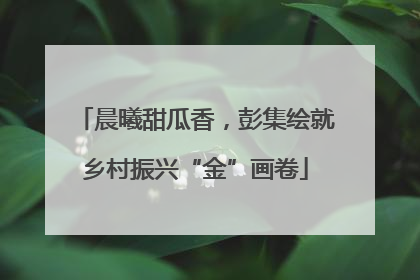 晨曦甜瓜香，彭集绘就乡村振兴“金”画卷