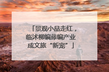 景观小品走红，临沭柳编藤编产业成文旅“新宠”