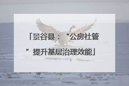 景谷县：“公房社管”提升基层治理效能