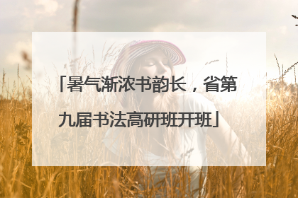 暑气渐浓书韵长，省第九届书法高研班开班