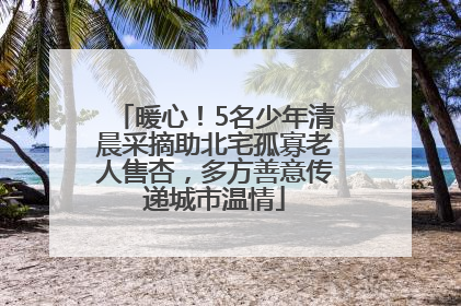 暖心！5名少年清晨采摘助北宅孤寡老人售杏，多方善意传递城市温情
