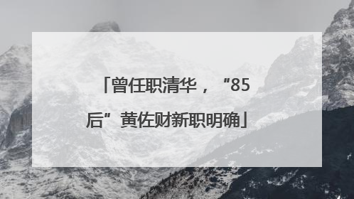 曾任职清华，“85后”黄佐财新职明确