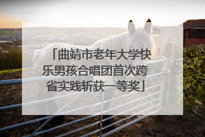 曲靖市老年大学快乐男孩合唱团首次跨省实践斩获一等奖