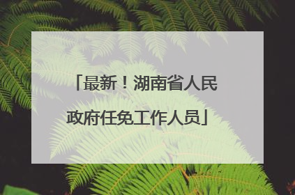 最新！湖南省人民政府任免工作人员