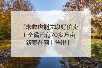 未收也能先以好价卖！全省已有70多万亩新麦在网上售出